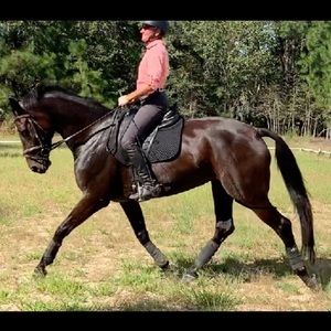 Meet your Posher, Karen